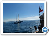 img210525 (12)