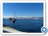 img210525 (13)